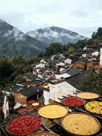 上饒3日遊 | 望仙谷與三清山經典組合・全人群適配攻略