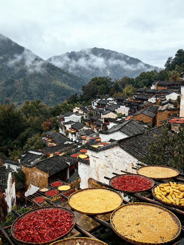 上饒3日遊 | 望仙谷與三清山經典組合・全人群適配攻略