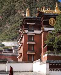 秋天甘南等地美到失語的神仙地方