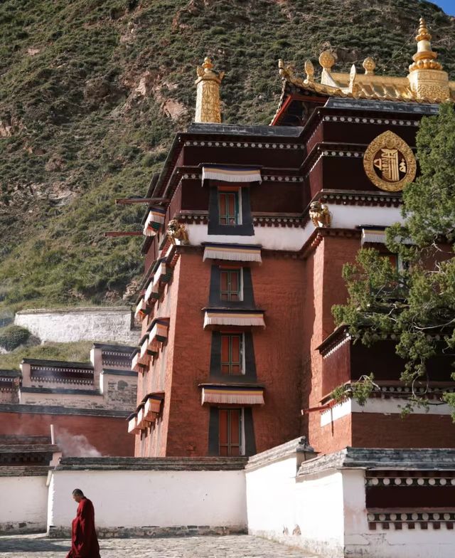 秋天甘南等地美到失語的神仙地方