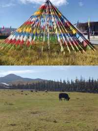 甘南秘境：當周草原的四季變幻