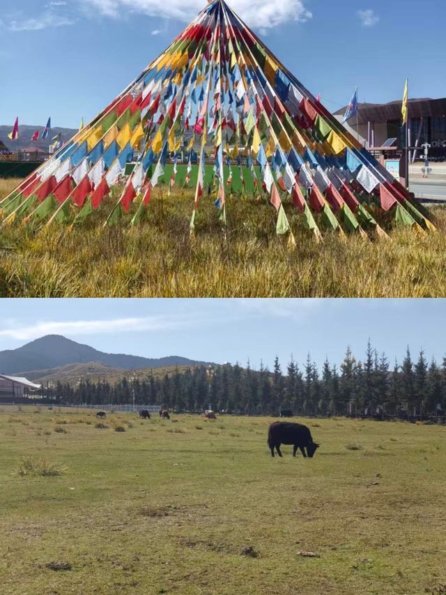 甘南秘境：當周草原的四季變幻