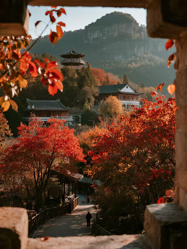 廣深週末溜娃!韶關紅楓+流星太絕了 廣深週末溜娃!韶關紅楓+流星太絕了