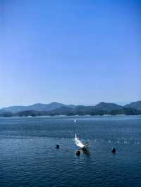 秋天來千島湖別有風味，水天一色美如畫！