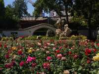 人民公園的春夏