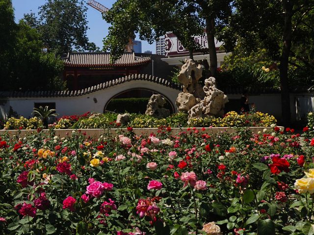 人民公園的春夏 人民公園的春夏