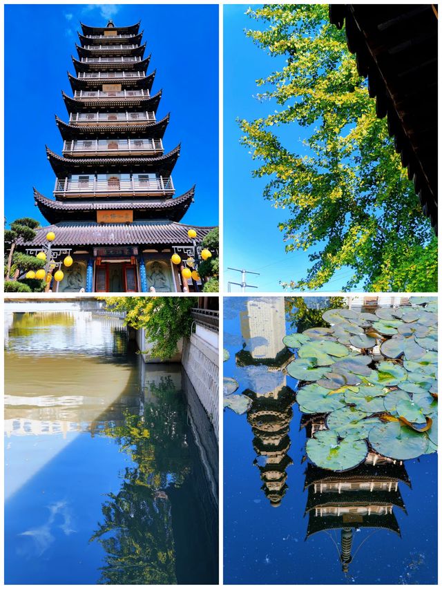 真如寺的銀杏還要等等,美味齋飯卻不用等 真如寺的銀杏還要等等,美味齋飯卻不用等