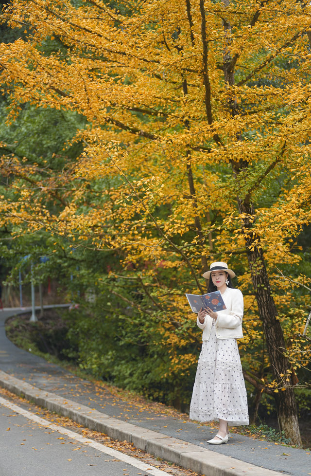 尖叫！韶關帽子峰金色童話世界已上線！！