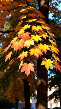 驚艷！這才是北方秋景天花板野三坡保姆級攻略來啦