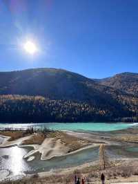 新疆喀納斯秋日童話遇見雪山松鼠的治癒時刻