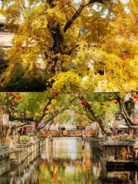 我以為蘇州的秋天夠美了，直到我來了無錫！