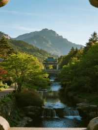 廣東娃追雪廬山親子看雪攻略 輕鬆遛娃