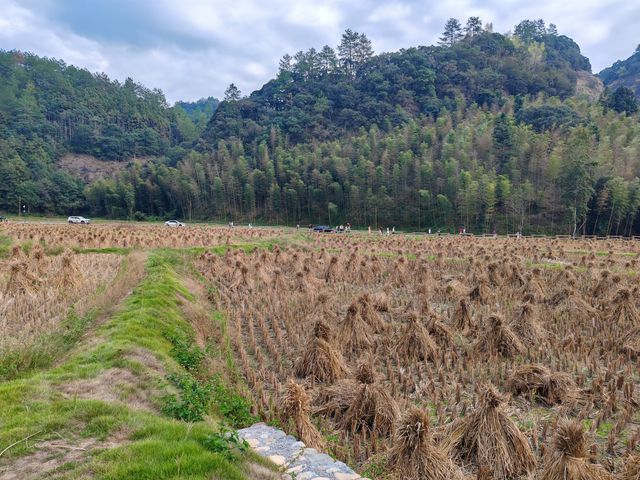 泰寧李家巖 泰寧李家巖