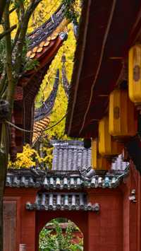 成都 1h，8 元的秋日崇州罨畫池，人間值得