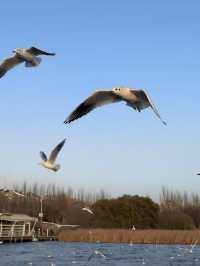 大草原與鋼鐵之城的碰撞！包頭3大必打卡地標暴走指南