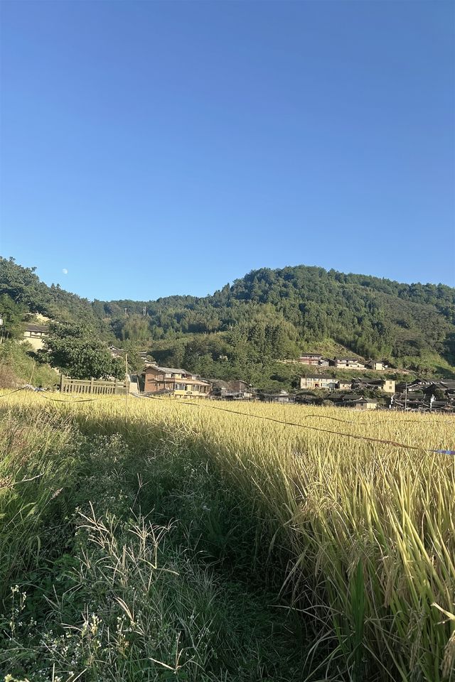 沉浸800年古村的曬秋畫卷與人間煙火 沉浸800年古村的曬秋畫卷與人間煙火