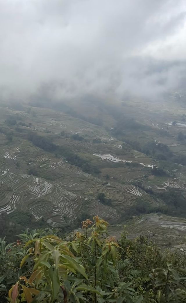 暴走哀牢山 元陽梯田2天1晚週末暴走攻略 暴走哀牢山 元陽梯田2天1晚週末暴走攻略