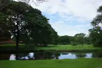 在曼谷百年車站搭火車去大城府~