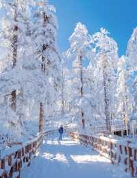 冬季私人訂製遊東北等你來