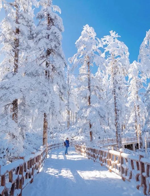 冬季私人訂製遊東北等你來 冬季私人訂製遊東北等你來