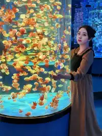 目測會成為泉州下一個No.1