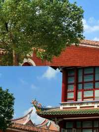 放棄三亞了！ 帶爸媽去泉州才是避寒天花板