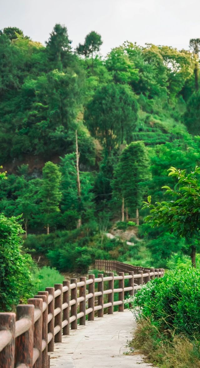 漢中青木川:景色醉人的桃源仙境