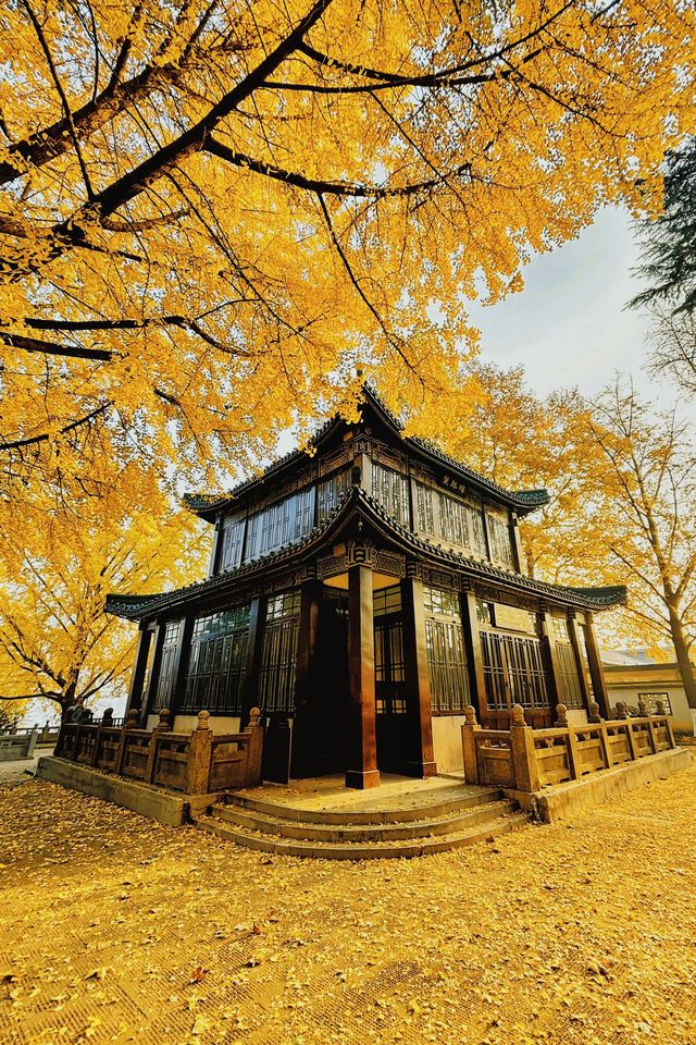 南京賞秋倒數最後10天必打卡的絕美秋色攻略 南京賞秋倒數最後10天必打卡的絕美秋色攻略