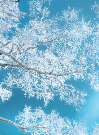 Travel Through Time and Explore Shenyang|This Magical Hotel on Zhongjie Street is So Photogenic!