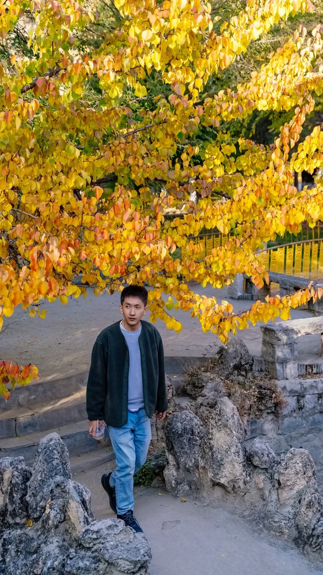 西藏小眾出片地羅布林卡 | 西藏版頤和園