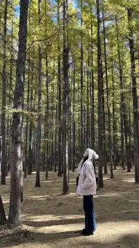 秋天的淨月潭美到失語