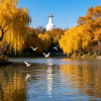 古都金秋尋色記