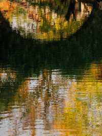 在濮院 | “樹樹皆秋色，波波成畫屏”