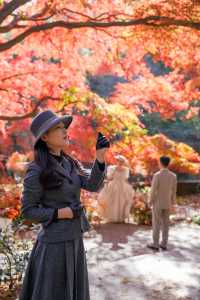 一眼封神,莫干山500年楓樹驚艷整個秋天