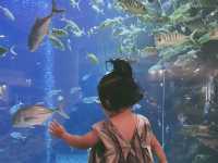 三亞帶娃必住泳池別墅