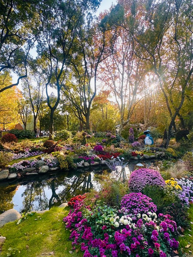 上海秋日頂流!共青菊花展免費衝人多真的有原因! 上海秋日頂流!共青菊花展免費衝人多真的有原因!