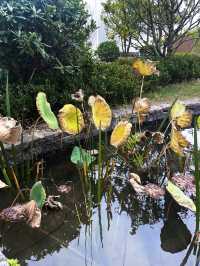 泊心雲舍·七夕島｜住進仙女湖的浪漫童話裡