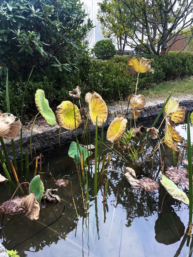泊心雲舍·七夕島｜住進仙女湖的浪漫童話裡