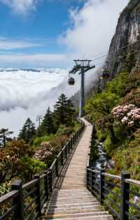 蒼山索道秘境打卡