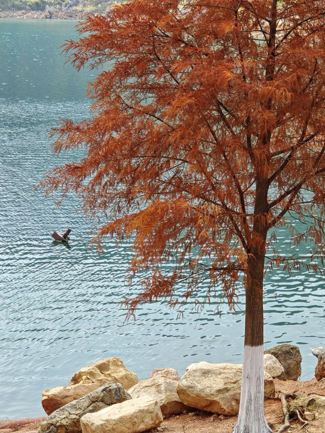 醉美郴州小洱海