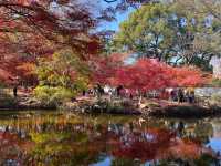 上海賞楓絕佳地標