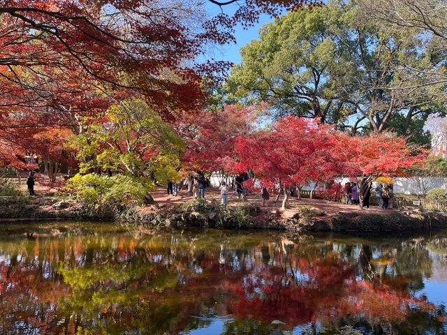 上海賞楓絕佳地標
