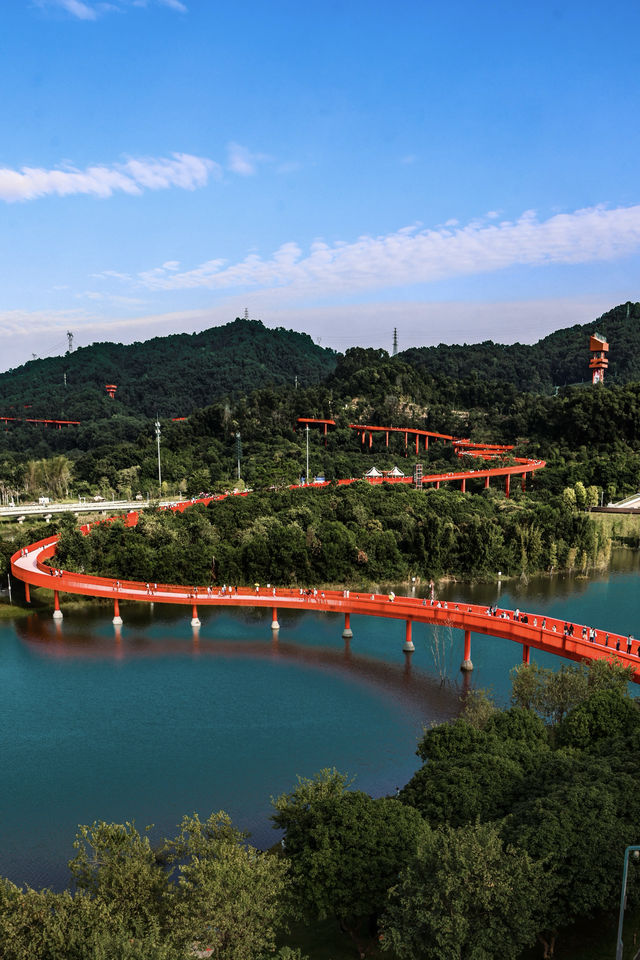 深圳虹橋公園遊玩全攻略! 深圳虹橋公園遊玩全攻略!