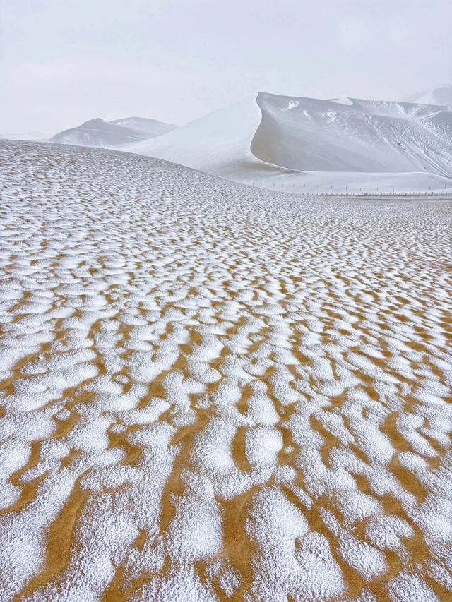 冬天的河西走廊是一場寂靜而盛大的浪漫 冬天的河西走廊是一場寂靜而盛大的浪漫
