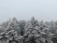 今日（12月4日）峨眉