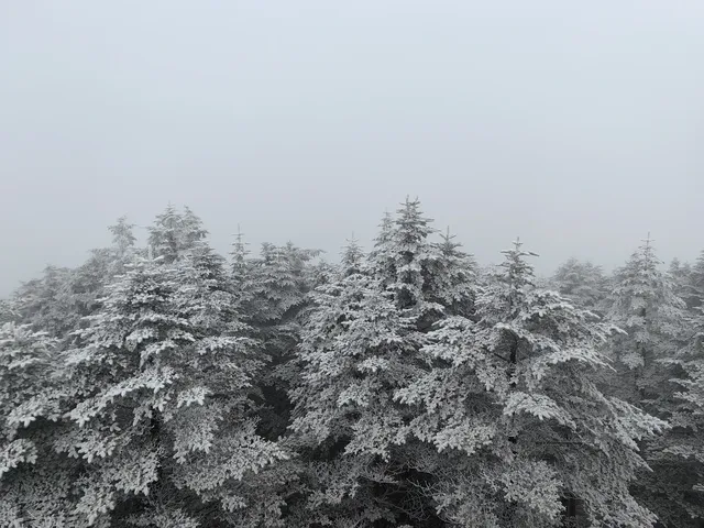 今日（12月4日）峨眉