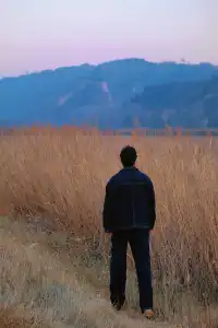 鄭州的初冬,遠山草垛,溫暖成了一幅畫!