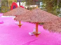 和閨蜜在粉沙灣，拍爆內存！