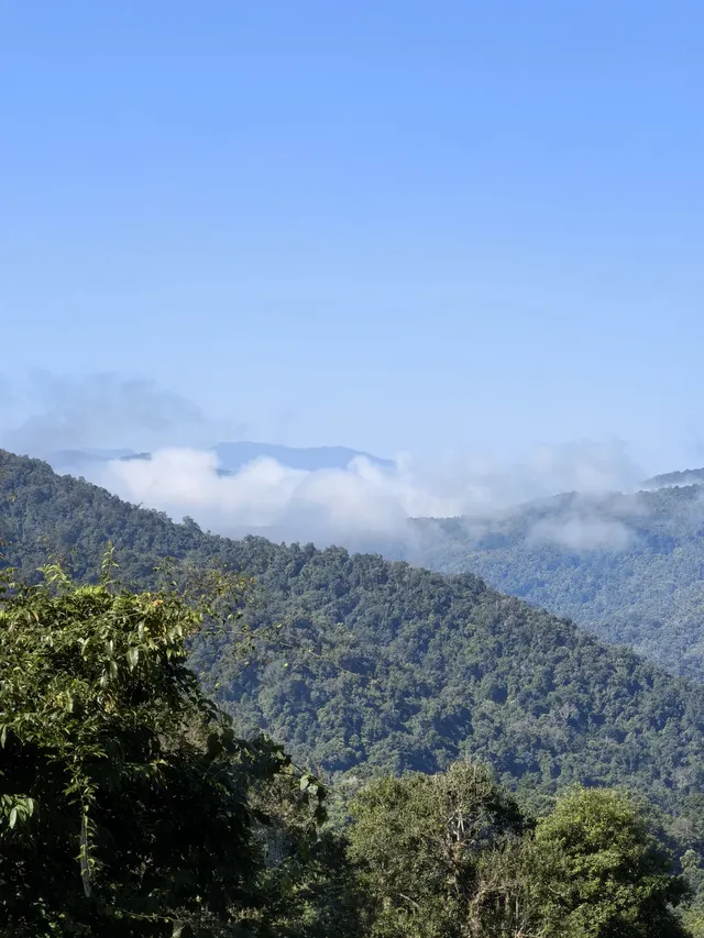 自駕第二十站｜西雙版納