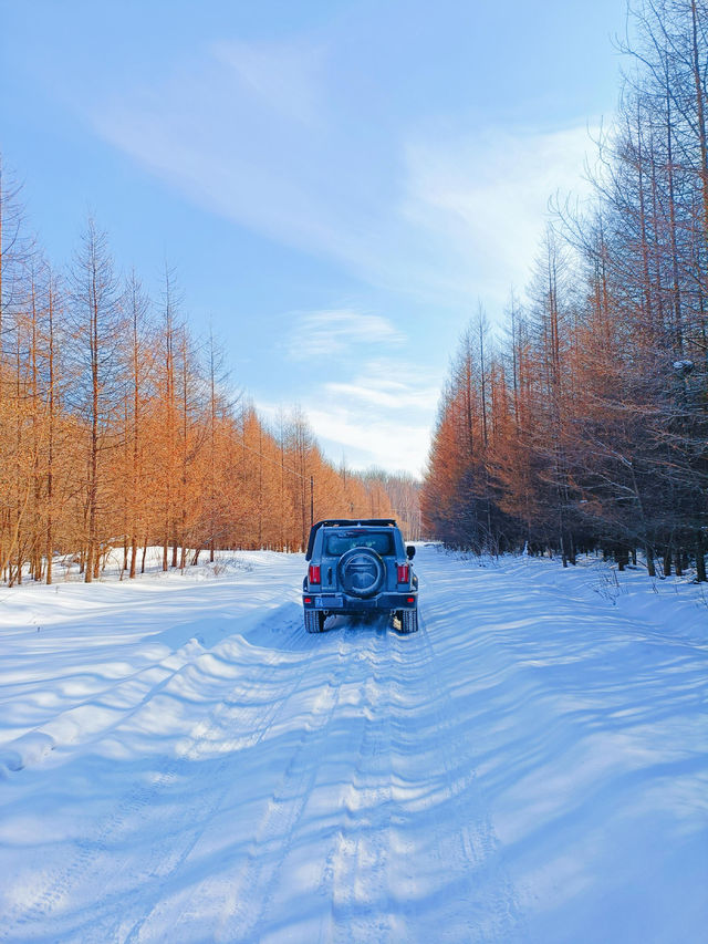 【哈爾濱·原生態雪景穿越路線】
